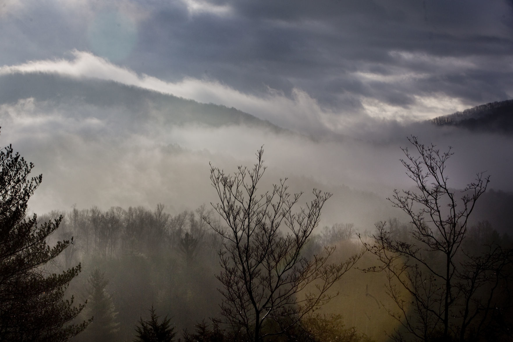 skd fog 010320 p02
